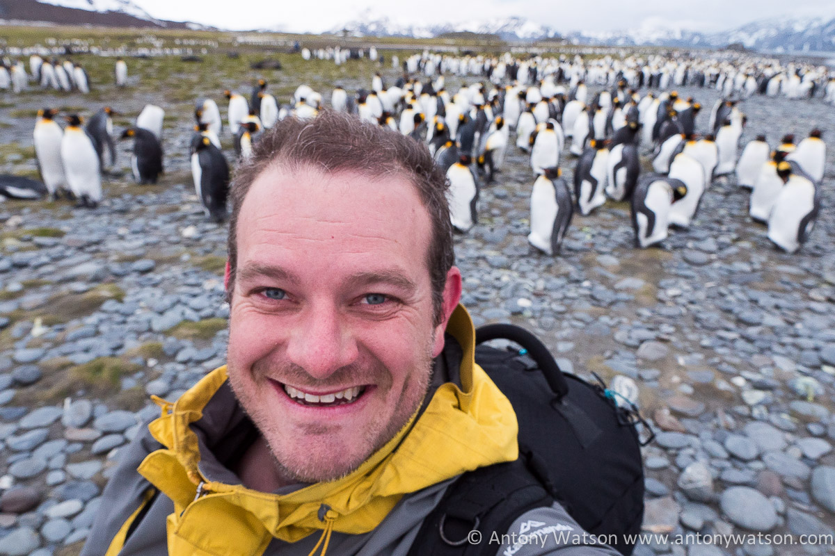 The South Georgian Smile