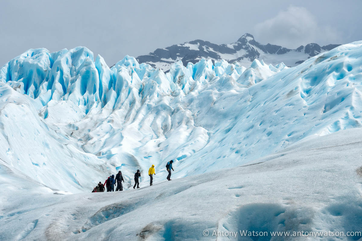 Pireto Moreno Glacier Patagonia