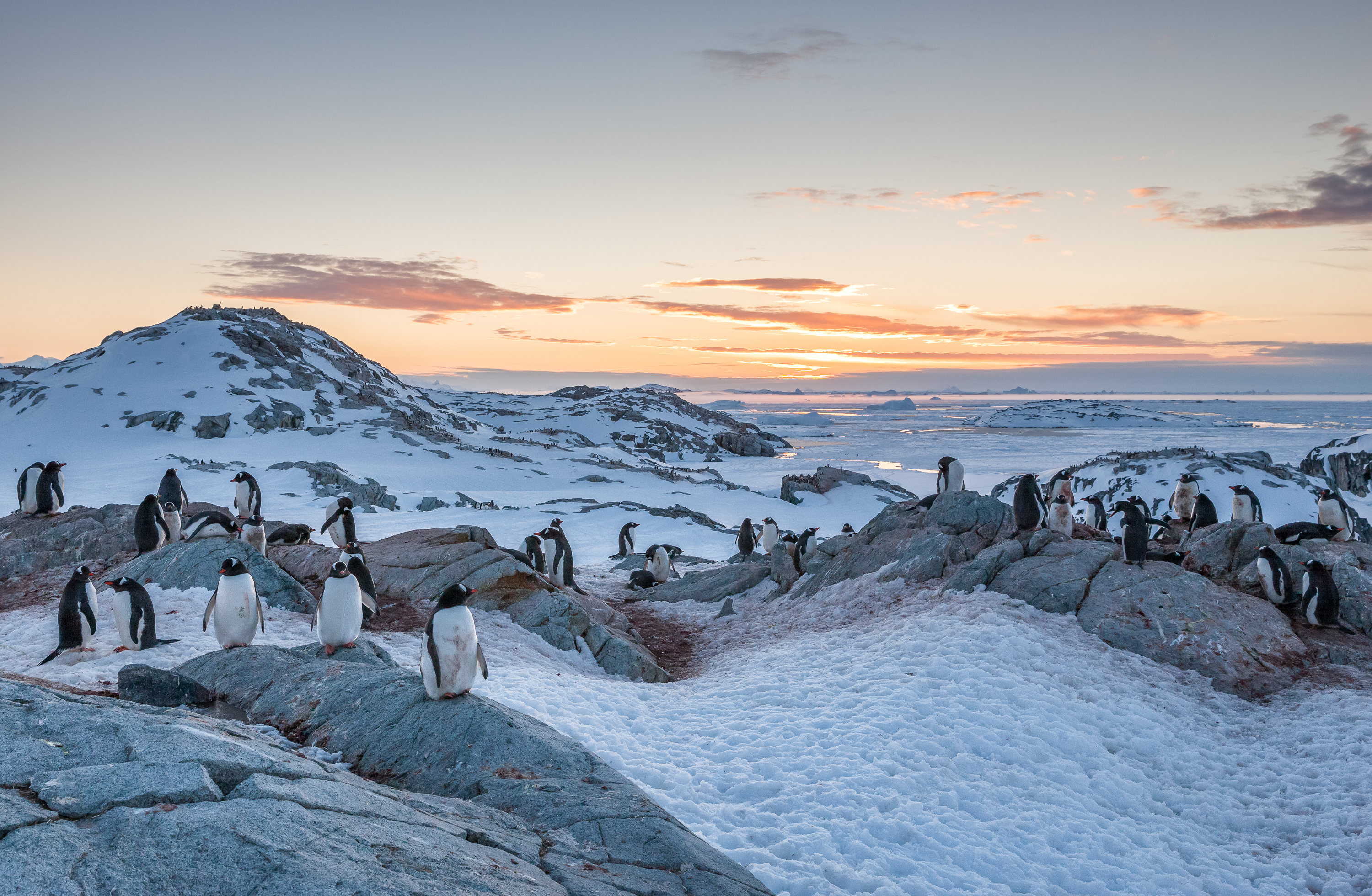 Photographers First Light South Georgia and Antarctica